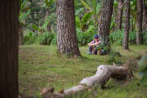 BIB: 
                            <button type="button" onclick="openModal(19248703)" class="btn btn-primary btn-sm float-right btn-popup" data-toggle="modal" data-target=".modal-high-quality">
                        <i class="fas fa-shopping-cart"></i> Add to Cart
                    </button>
                                            <button type="button" onclick="isThisMe(19248703, true)" class="btn btn-success btn-sm float-right btn-popup btn-isme hidden" data-toggle="tooltip" data-placement="bottom" title="นี่คือรูปของคุณใช่ไหม คลิกที่นี่เพื่อเอาเข้าอัลบั้ม">
                        <i class="fas fa-plus"></i> Add to album
                    </button>
                    <button type="button" onclick="isThisMe(19248703, false)" class="btn btn-warning btn-sm float-right btn-popup btn-isnotme hidden">
                        <i class="fas fa-ban"></i> Remove from album
                    </button>